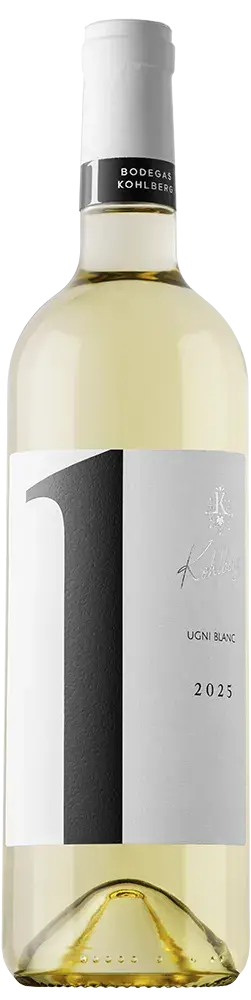 Ugni Blanc 1